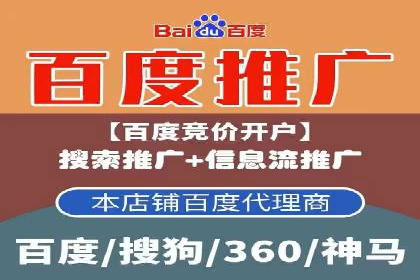 百度推广全攻略：成功案例剖析